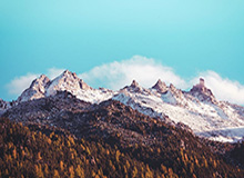 徐海东/陈幸同3-0赵子豪/陈熠 晋级乒乓球混双八强