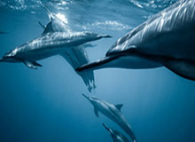 徐海东/陈幸同3-0赵子豪/陈熠 晋级乒乓球混双八强